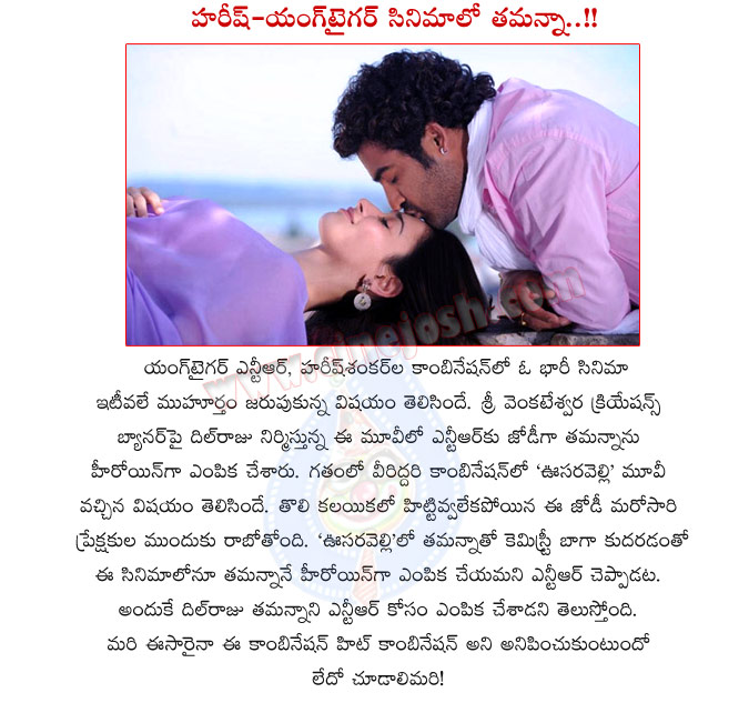 young tiger ntr,tamanna,tamanna in jr ntr and harish shankar movie,tamanna again with jr ntr,jr ntr and dil raju movie,tamanna with jr ntr in harish shankar movie,mla movie cast and crew,harish and jr ntr movie heroine confirmed,jr ntr with tamanna,tam  young tiger ntr, tamanna, tamanna in jr ntr and harish shankar movie, tamanna again with jr ntr, jr ntr and dil raju movie, tamanna with jr ntr in harish shankar movie, mla movie cast and crew, harish and jr ntr movie heroine confirmed, jr ntr with tamanna, tam